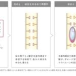 髪の若返り！サロントリートメントに新たにエイジングケアライン導入！！